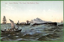 ak7633 - USA - VINTAGE POSTCARD - Massachusetts, New Bedford SPERM WHALING