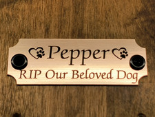 Custom Engraved Brushed Copper Pet Memorial Urn Plaque Plate Cat Dog  2 Screws