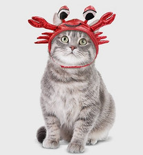 Cat Crab Pet Halloween Costume Hat Headpiece Red Hyde and Eek Boutique