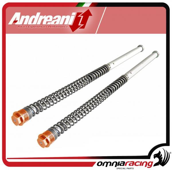 Andreani adjustable forks cartridge with springs for KTM SX 65 eBay