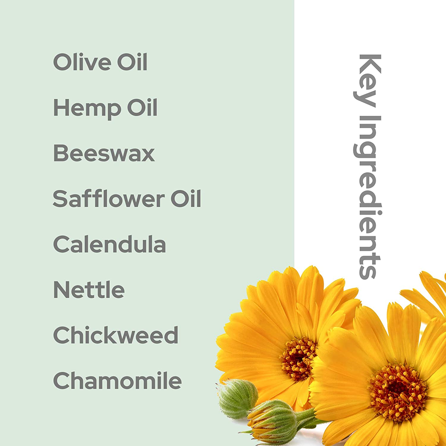 Balmonds PURSKII29 Skin Salvation 1 oz for sale online eBay