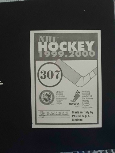 Panini NHL Hockey 1999 2000 99 00 ELIGE CUALQUIER PEGATINA CASI NUEVA/COMO NUEVA #201-360# - Imagen 195 de 297
