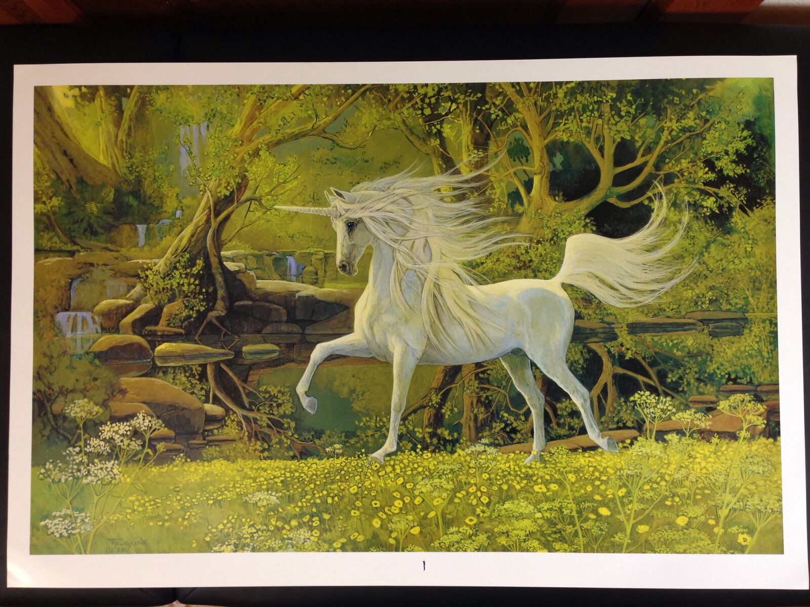 Unicorn Lithoprint by Emilie Touraine 24"x36" | Horse Lithograph Rare Art Print 