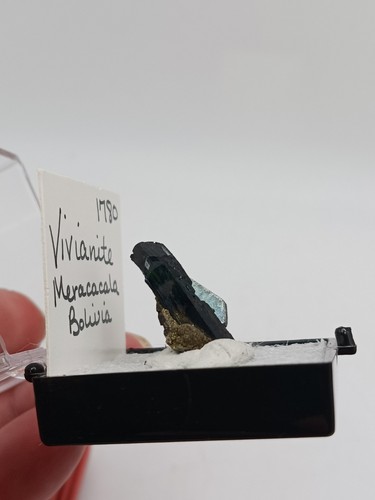 Stunning Vivianite specimen In Display Old Estate On Matrix Meracacala Bolivia - Picture 3 of 17