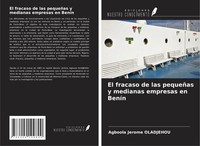 Agboola JéRôMe Oladjehou | El Fracaso De Las PequeñAs Y Medianas Empresas En...
