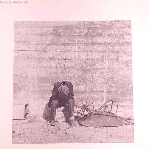 The Work of Dorothea Lange CELEBRATING A COLLECTION By Therese Thau Heyma 1st ed - Picture 9 of 15