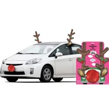 Sequin Rudolph Reindeer Car Decorating Kit 3pc Polyester Decorations