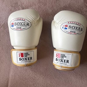 Isami Boxing Gloves | eBay