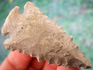 Super Fine Serrated Kentucky Pine Tree Point with Insight COA Arrowheads