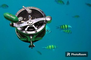 Penn 49 Deep Sea Reel | eBay Penn 49 Deep Sea Reel | eBay
