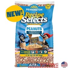 Shelled Peanuts Wild Bird Feed 5lb High Energy Protein Nutritious Wildlife Treat