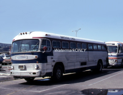 ''Bayshore Lines Transportation'' Vintage GM Bus ''Roadside Americana'' PHOTO! #(14)