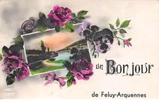 Belgium - n°71393 - Un Bonjour de FELUY-ARCHENNES - Landscape