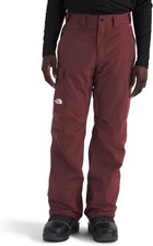The North Face Men's Freedom Pants, Large Short,Sumac