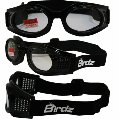 Birdz Eyewear Kite Motorcycle Goggles (Black Frame/Clear Lens)