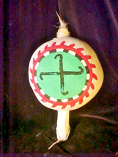 Hopi shaman rattle healing rattles Aya Katsina bead headband blessing band set