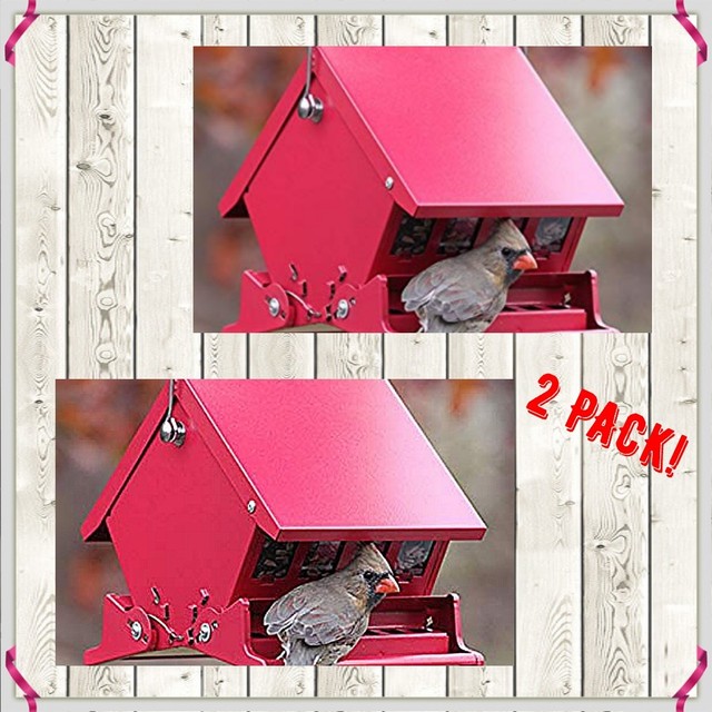 Audubon 7458 Mini Absolute Ii Squirrel Proof Hopper Bird Feeder 4