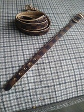 Brand New Adjustable Dog Collar & Lead Fashion Design Buckle