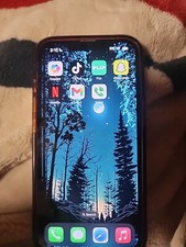 Iphone 13 with tiktok