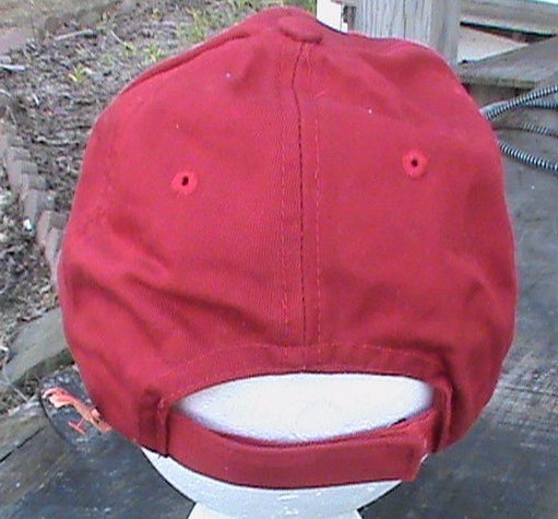 Picture 4 of 6