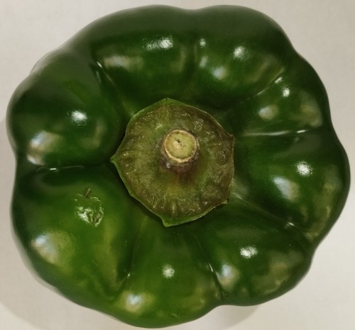 100x Geen Pepper Seeds — Fresh Seeds of 2023 - Picture 3 of 6