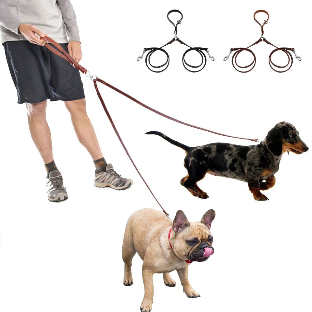 Walk two deals dogs at once