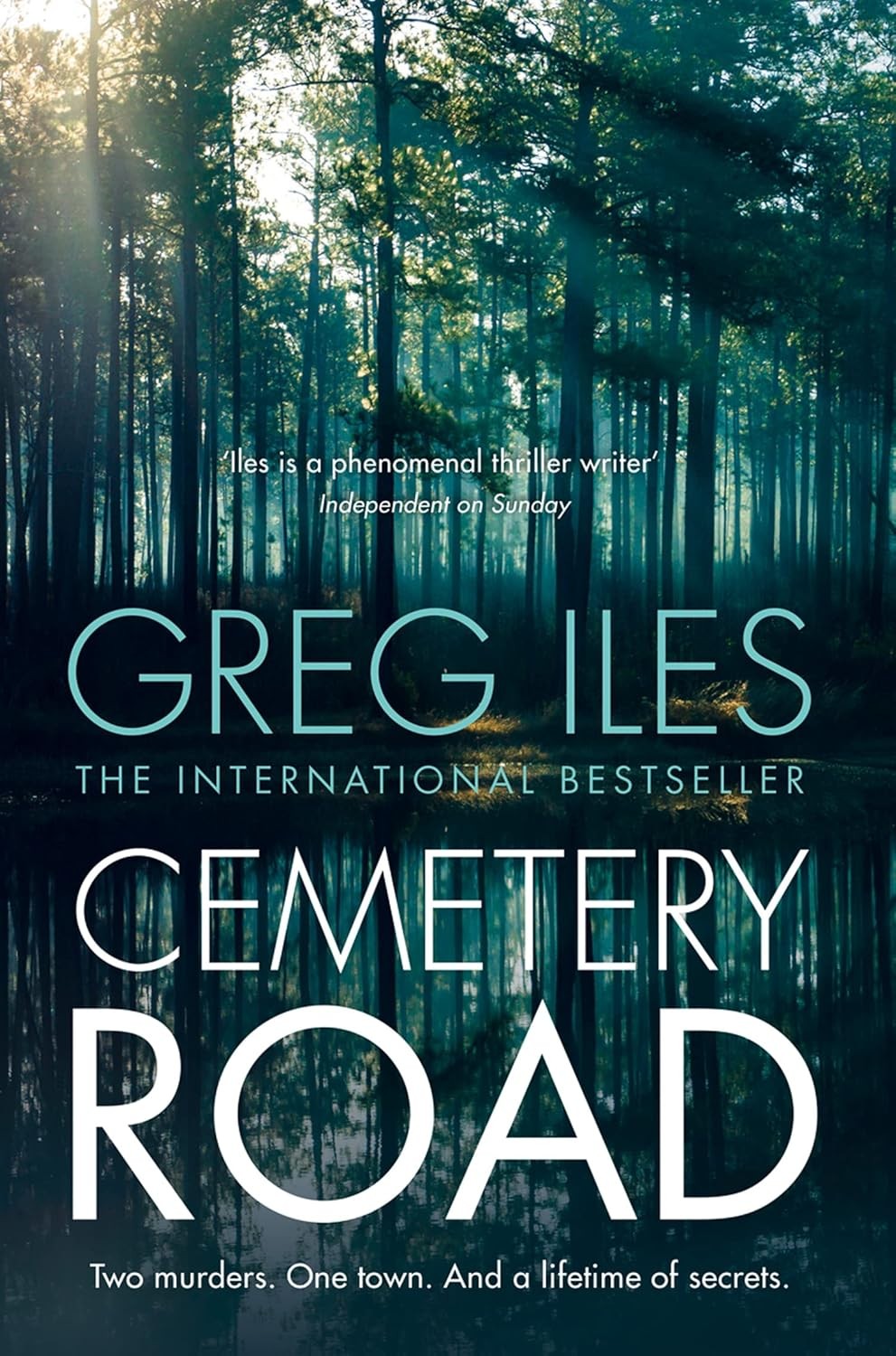 Cemetery Road an intense crime thriller from the 1 New by Greg Iles PAPERBACK - Image 7