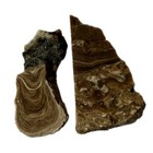 Set of 2 UTAH ROOT BEER ONYX SLABS ~64grams/ rough agate jasper rock cab mineral — photo 1