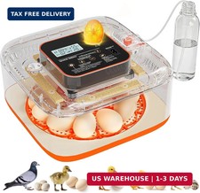 Incubators for Hatching Eggs 12 Egg One Click Hatching Egg Incubator Precision A