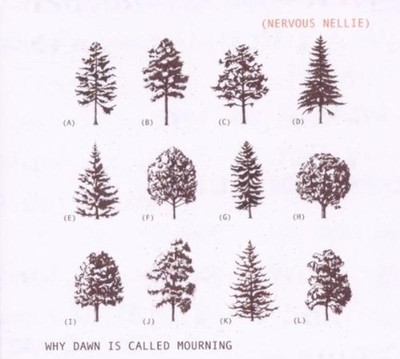 Nervous Nellie - Why Dawn Is Called Mourning CD NEU OVP
