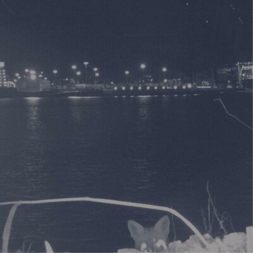 Fuchs Fuchs (Vinyl LP) 12" Album