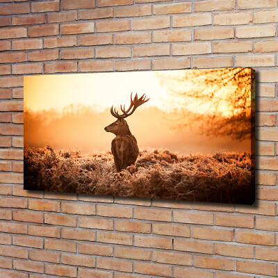 Leinwandbild Kunst-Druck 120x60 Bilder Tiere Hirsch Sonnenaufgang