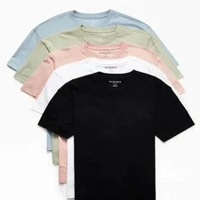 PacSun Brand New Basics 5-Pack Regular Fit T-Shirts, Size Small