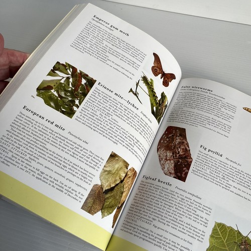 What Garden Pest or Disease is That Judy McMaugh Undated & Revised PB 2010 - Picture 5 of 13