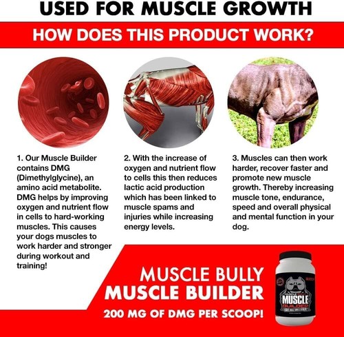 Constructor muscular para perros clínicamente probado ingrediente de construcción muscular 60 masticables - Imagen 3 de 6