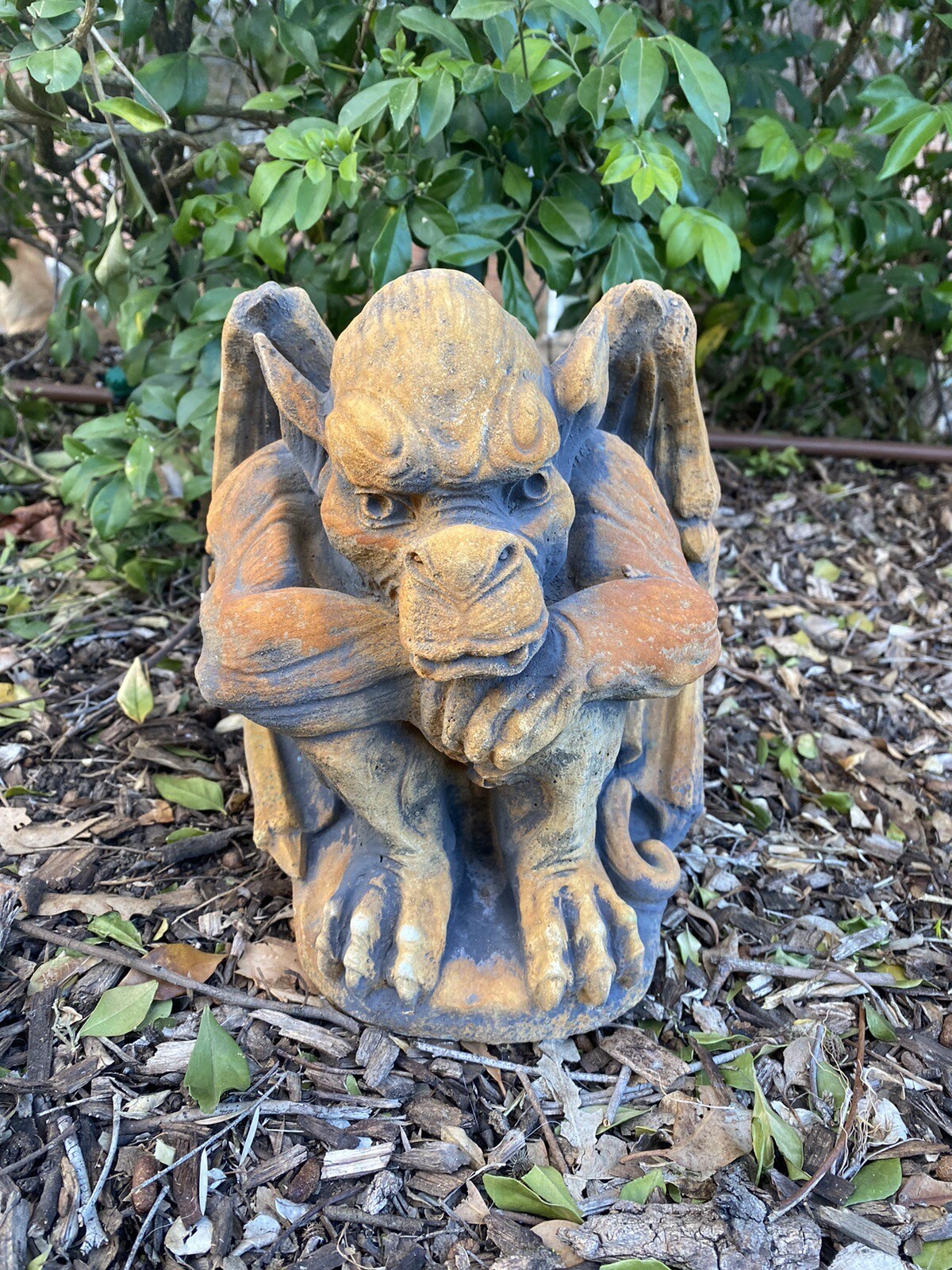 Gargoyle Garden Statues Melbourne Fasci Garden