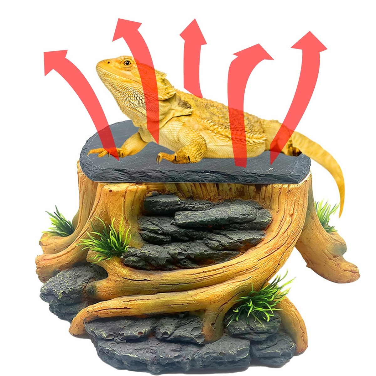 dinosaur fish tank accessories Decorations Skull Decor Resin Aquarium Decoration for Small Betta Fish, Hermit Crab Hideout Caves, Reptile House Ornament : Pet Supplies Plax Jurassic Park Velociraptors Decor UNDERWATER TREASURES Dinosaur Skull Fish