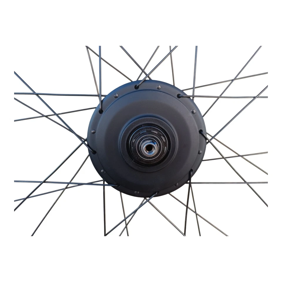 ENVIOLO Heavy Duty Komplettrad 28 Zoll Disc Schwarz 28 Zoll DT Swiss Speiche NEU - Bild 4 von 4