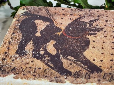 Glasuntersetzer Cave Canem - Marmor 10x10cm, Forum Traiani, Marmor-Untersetzer