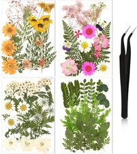 Pressed Flowers Bulk Dried Flower for Crafts, Dried Wildflowers Leave Natural wi