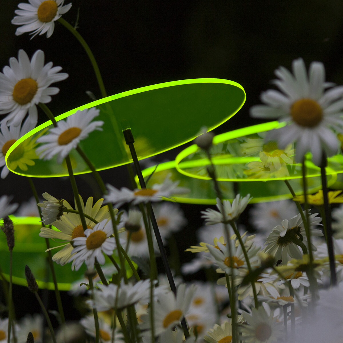 Eternal Sunshine CD Sunplay Suncatcher - Set Di 3 Dischi Cattura - Foto 8