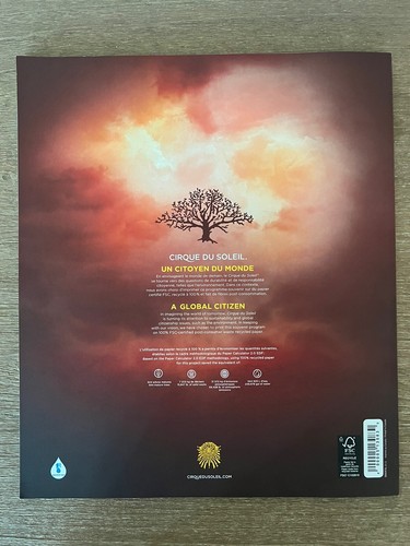 Libro programma Michael Jackson Immortal World, One & This Is It Cirque du Soleil - Foto 15 di 22