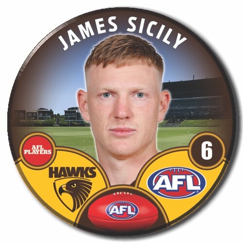 2023 AFL Hawthorn Football Club - SICILY, James - Picture 2 of 12