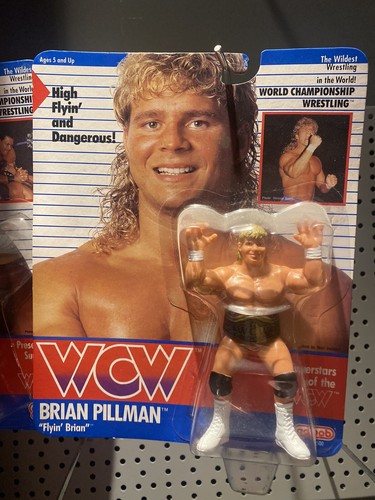 Wcw Galoob Brian pillman Moc Good Condition Rare W...