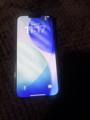 Apple IPhone 13 Pro Max Graphite 128 Unlocked