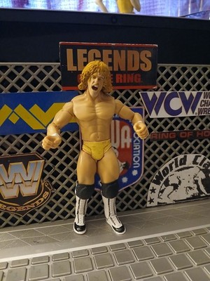 custom WRESTLING LUCHA LIBRE FIGURE DAVID VON ERICH FIGURE