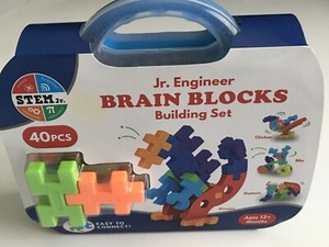 brain blocks building set