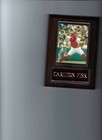 Carlton Fisk Plaque Baseball Boston Red Sox Mlb
