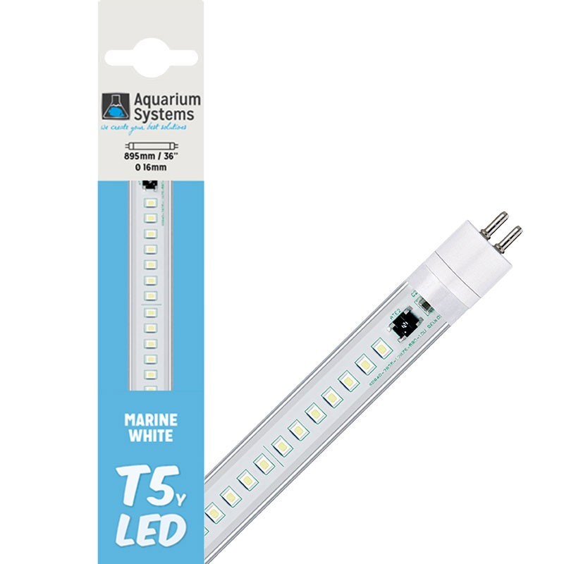 T5 LED Marine White Aquarium Systems solution contre la baisse d'éclat