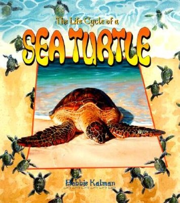 The Life Cycle of a Sea Turtle - Paperback By Kalman, Bobbie - VERY GOOD